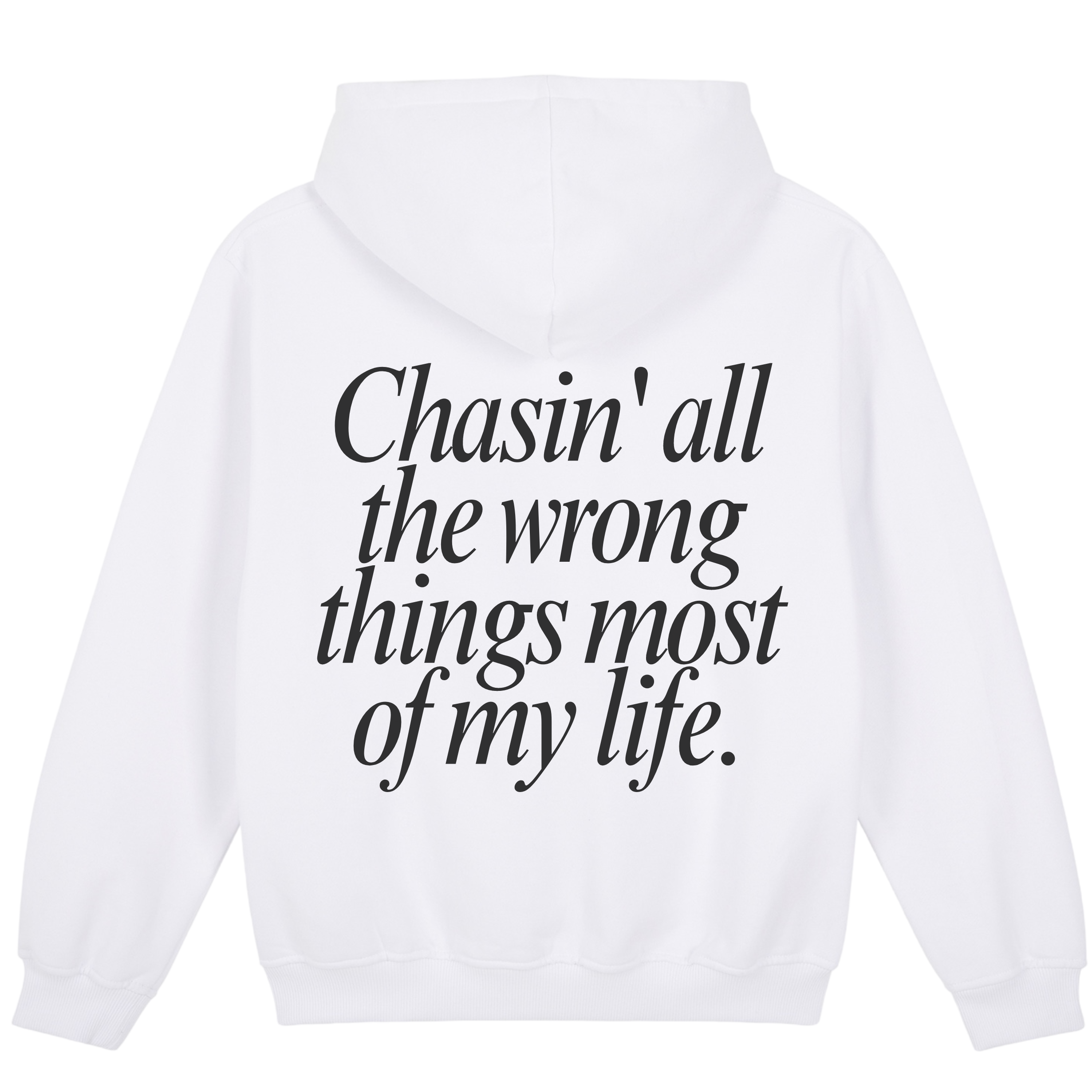 Chasing Hoodie - Learning in Progress