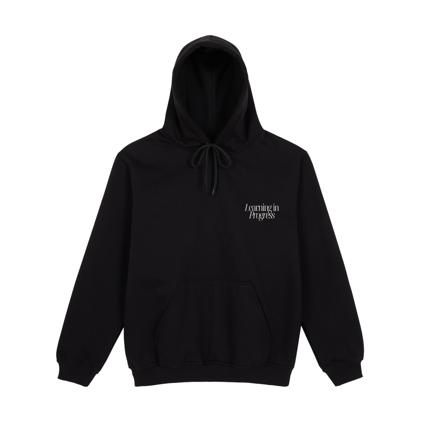 Chasing Hoodie - Learning in Progress